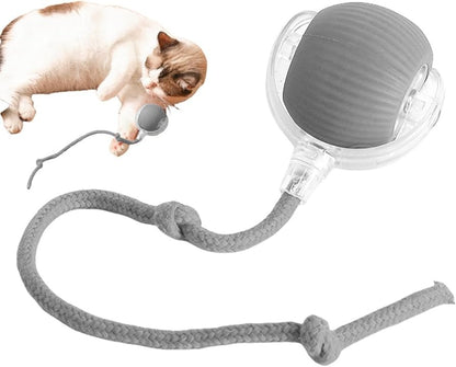 PELOTA INTERACTIVA PARA GATOS CON SOGA