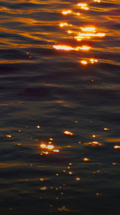 OMEGA360 – PRESICIÓN METABÓLICA EN CADA GOMITA